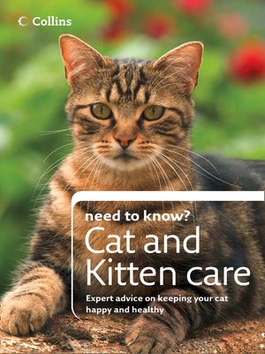 Cat and Kitten Care - ebook